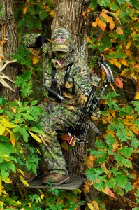 early season bowhunting stand
