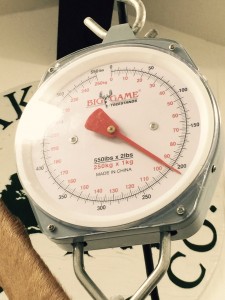 scales