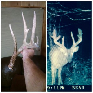 wi trail camera 1