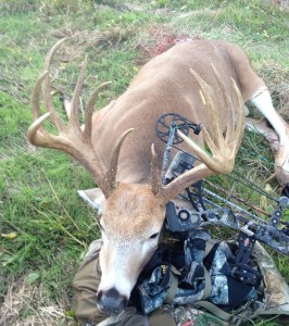 Maryland big bow buck 2015