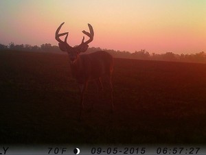 zach trail cam 1