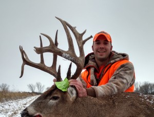 WI giant 183