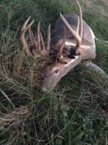 missouri 22 doe