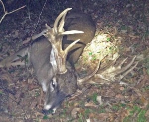LA tensas crossbow