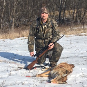Il coyote 1A