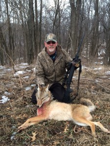 Il coyote 2