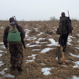 il coyote 3