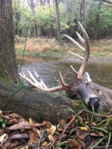 ohio 3