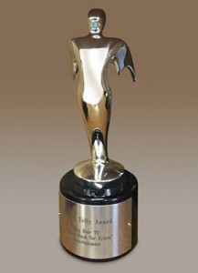 telly award big deer tv 2015