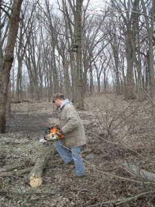 Timber improvement
