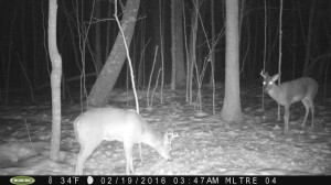 Wisconsin field report