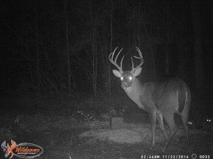 ga ghost 2014 cam