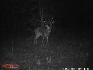 ga ghost 2015 cam