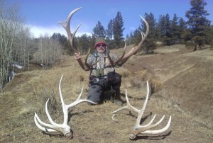 sheds co elk