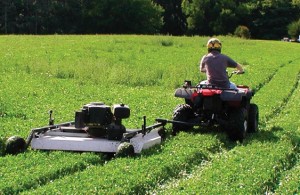 mow plot