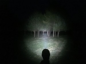 spotlighting