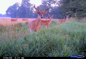 trail camera bach group dean