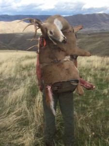 whitetail backpack
