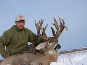 alberta