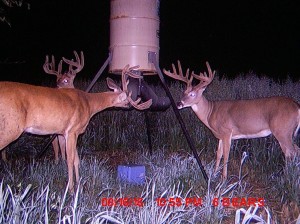 cam monday alberta