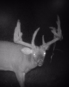 IL zach ugly buck
