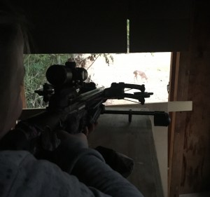 MD lexi small buck