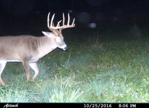 Indiana dean buck