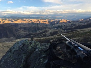 idaho buck 2016 vinnie 2
