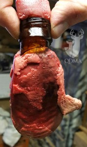 bottle deer tongue