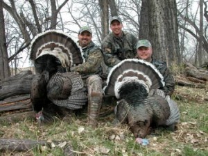 montana merriams turkeys