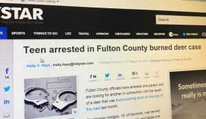burn deer