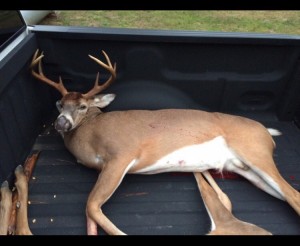 georgia big nose ty 2015