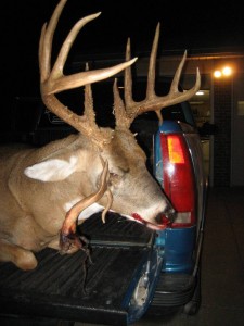 eye socket buck