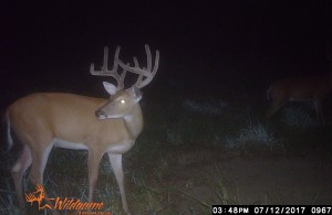 zach 10 pt