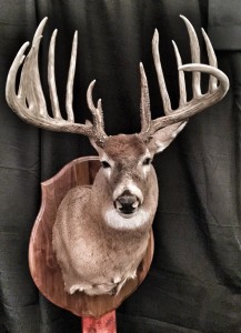 iowa knife handle buck