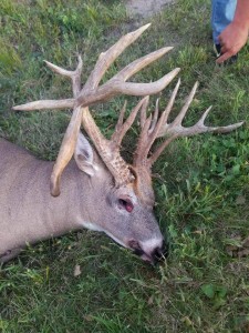 EHD 2017 mills iowa