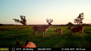 MOULTRIE DIGITAL GAME CAMERA