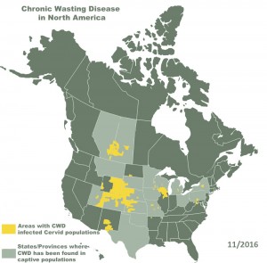 cwd map