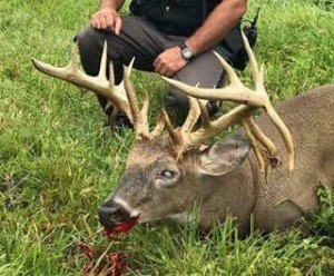 ohio ehd buck 2017