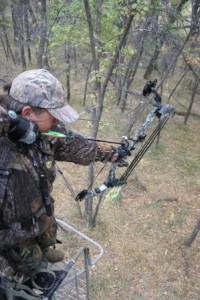 strommen--tree stand west