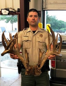 OK giant buck 236 killed car 2017