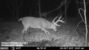 MOULTRIE DIGITAL GAME CAMERA