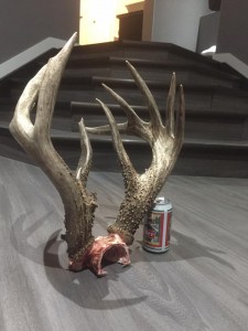 sask oneill 2017 3