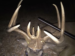 texas bone mass