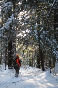 snow walkign out maine