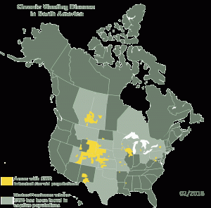 cwd map 24 states
