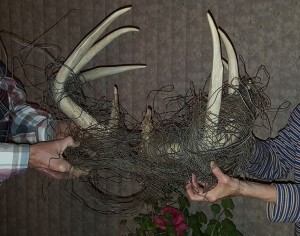 ks sheds 3
