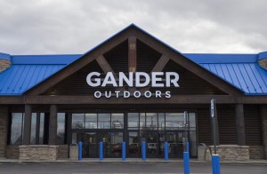 gander