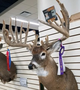 iowa freak 2
