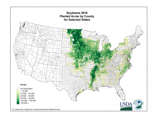 soybean map